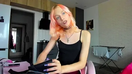 gambar stream _Alice_Kitty